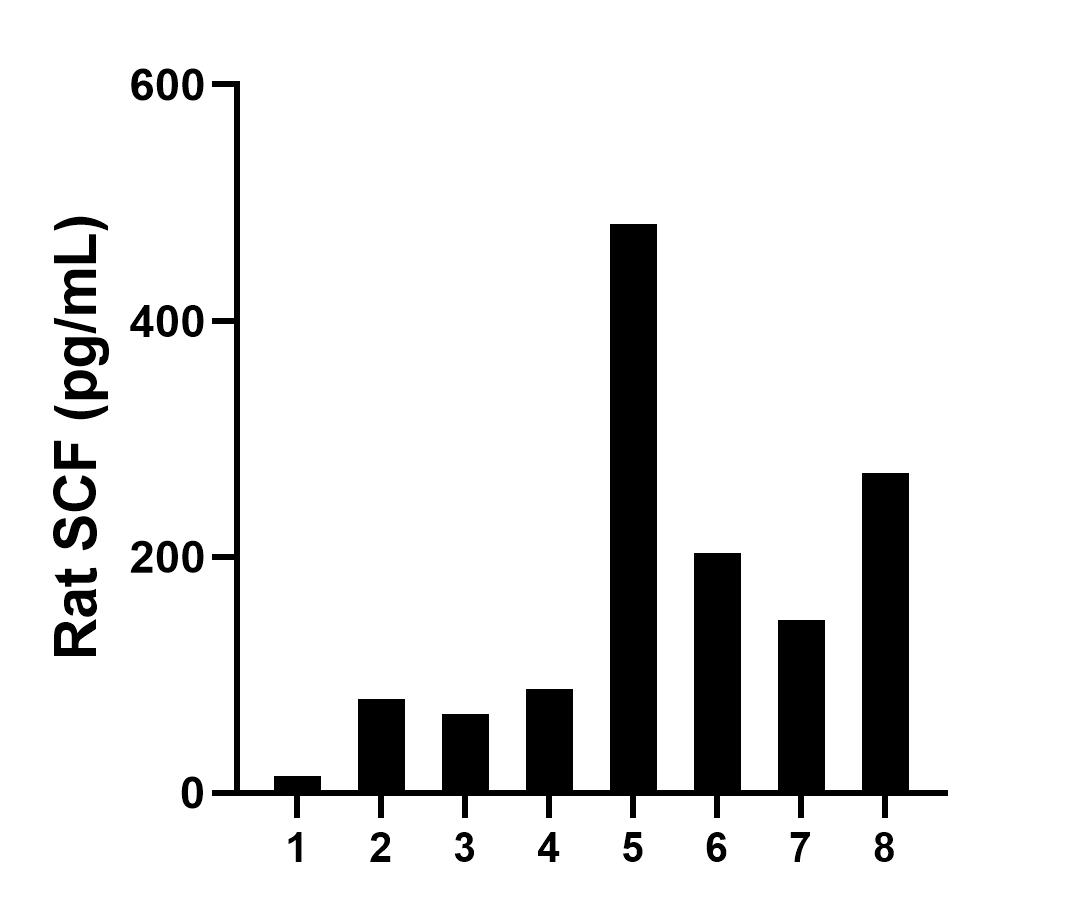 Serum of eight rats was measured. The rat SCF concentration of detected samples was determined to be 191.0 pg/mL with a range of 14.0 - 481.6 pg/mL.